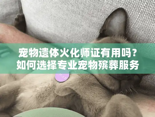 宠物遗体火化师证有用吗？如何选择专业宠物殡葬服务