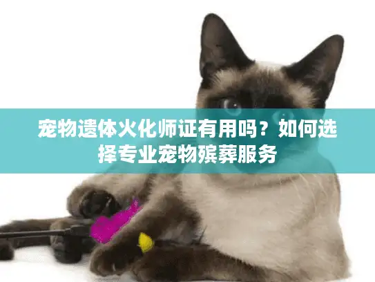 宠物遗体火化师证有用吗？如何选择专业宠物殡葬服务