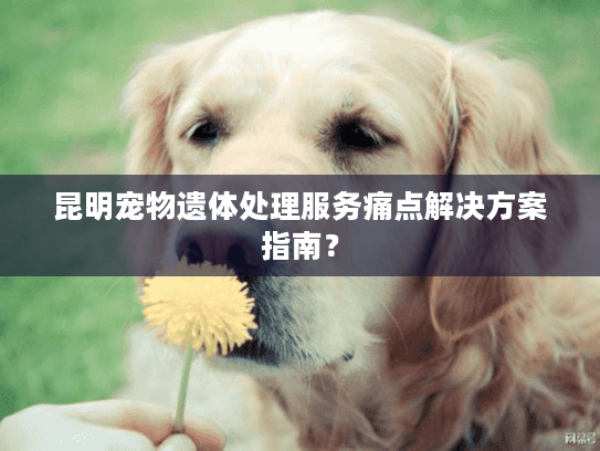 昆明宠物遗体处理服务痛点解决方案指南？
