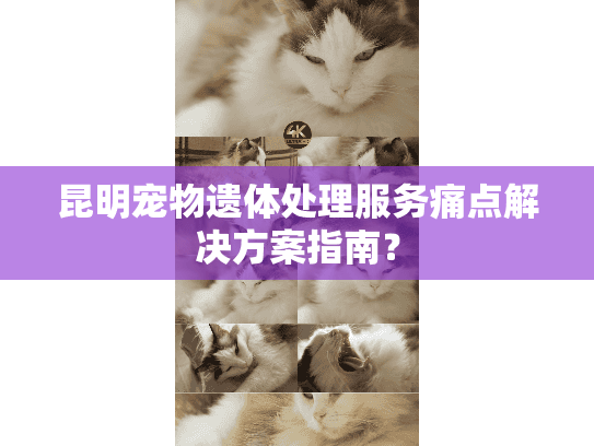 昆明宠物遗体处理服务痛点解决方案指南？