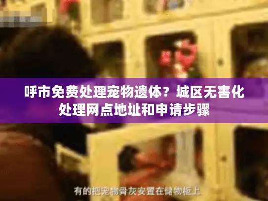 呼市免费处理宠物遗体？城区无害化处理网点地址和申请步骤