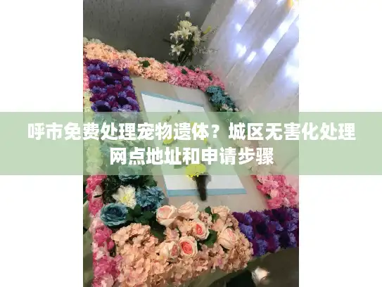 呼市免费处理宠物遗体？城区无害化处理网点地址和申请步骤