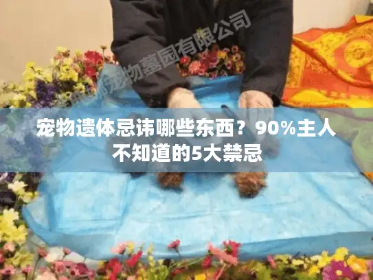 宠物遗体忌讳哪些东西?90%主人不知道的5大禁忌 宠物遗体忌讳哪些东西?90%主人不知道的5大禁忌