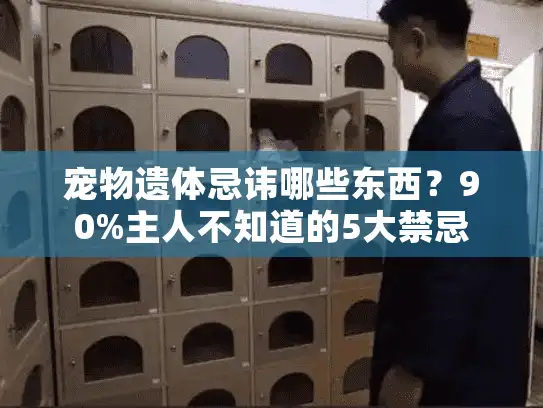 宠物遗体忌讳哪些东西?90%主人不知道的5大禁忌 宠物遗体忌讳哪些东西?90%主人不知道的5大禁忌