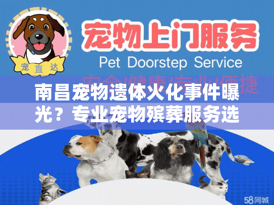 南昌宠物遗体火化事件曝光？专业宠物殡葬服务选择全攻略
