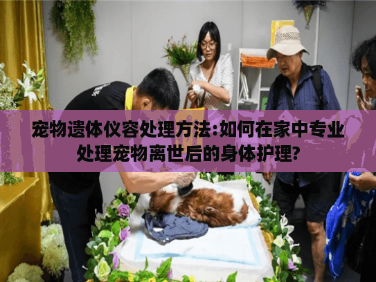 宠物遗体仪容处理方法:如何在家中专业处理宠物离世后的身体护理? 宠物遗体仪容处理方法:如何在家中专业处理宠物离世后的身体护理?