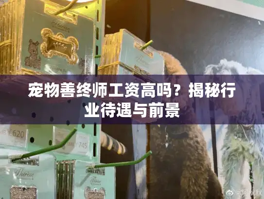 宠物善终师工资高吗?揭秘行业待遇与前景 宠物善终师工资高吗?揭秘行业待遇与前景