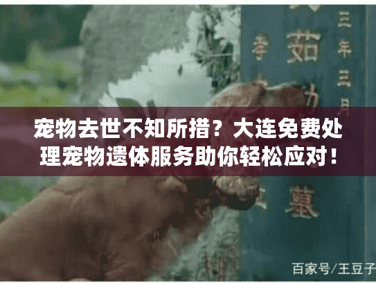 宠物去世不知所措？大连免费处理宠物遗体服务助你轻松应对！