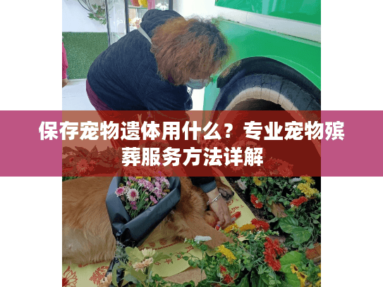 保存宠物遗体用什么？专业宠物殡葬服务方法详解