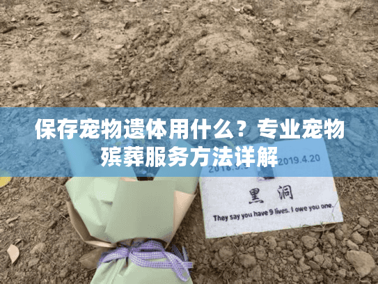 保存宠物遗体用什么？专业宠物殡葬服务方法详解
