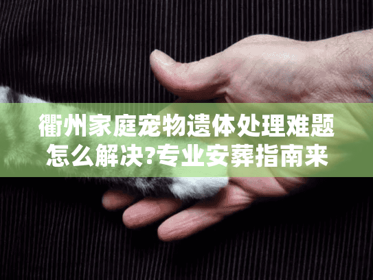衢州家庭宠物遗体处理难题怎么解决?专业安葬指南来了
