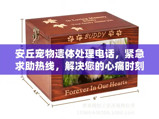 安丘宠物遗体处理电话，紧急求助热线，解决您的心痛时刻