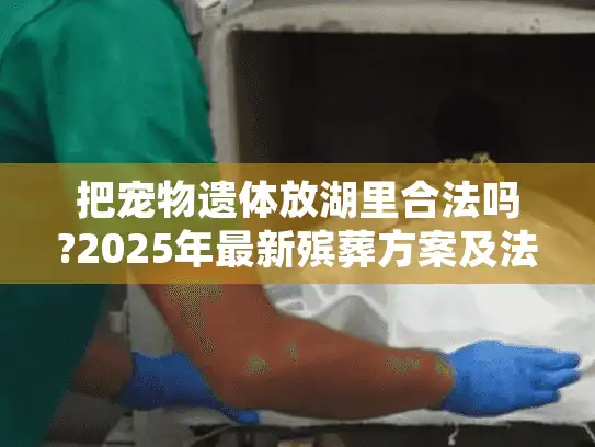 把宠物遗体放湖里合法吗?2025年最新殡葬方案及法律风险解析