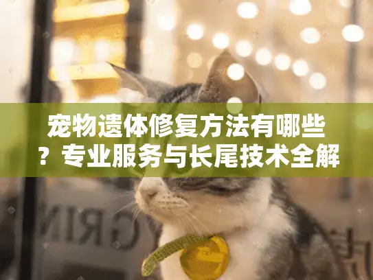 宠物遗体修复方法有哪些？专业服务与长尾技术全解析