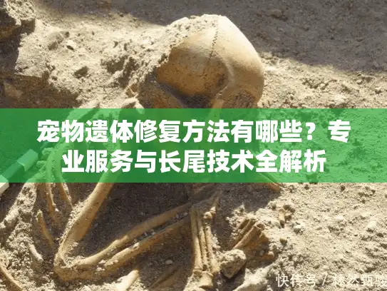 宠物遗体修复方法有哪些？专业服务与长尾技术全解析