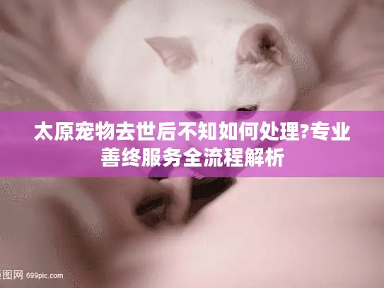 太原宠物去世后不知如何处理?专业善终服务全流程解析
