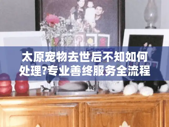太原宠物去世后不知如何处理?专业善终服务全流程解析