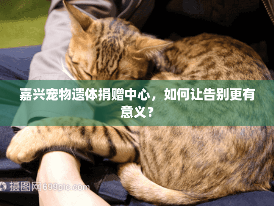 嘉兴宠物遗体捐赠中心,如何让告别更有意义? 嘉兴宠物遗体捐赠中心,如何让告别更有意义?