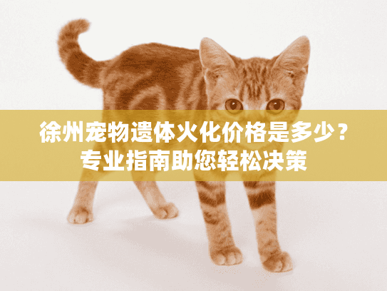 徐州宠物遗体火化价格是多少?专业指南助您轻松决策 徐州宠物遗体火化价格是多少?专业指南助您轻松决策
