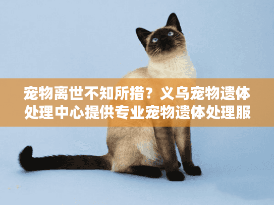 宠物离世不知所措？义乌宠物遗体处理中心提供专业宠物遗体处理服务