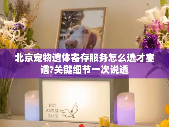 北京宠物遗体寄存服务怎么选才靠谱?关键细节一次说透