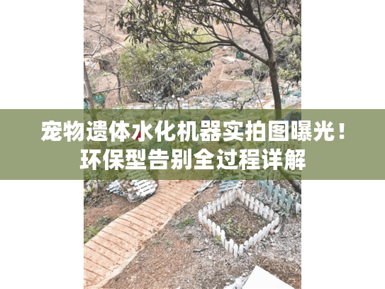 宠物遗体水化机器实拍图曝光！环保型告别全过程详解