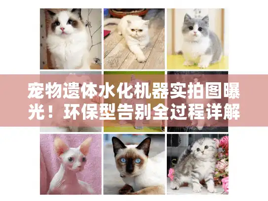 宠物遗体水化机器实拍图曝光！环保型告别全过程详解