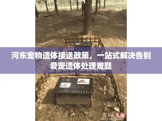 河东宠物遗体接送政策，一站式解决告别爱宠遗体处理难题