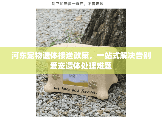 河东宠物遗体接送政策，一站式解决告别爱宠遗体处理难题
