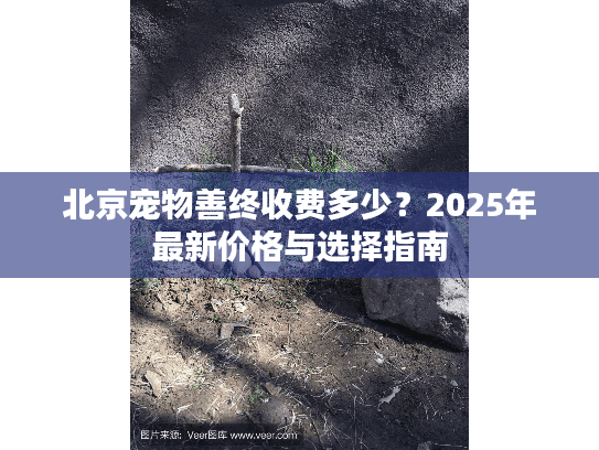 北京宠物善终收费多少？2025年最新价格与选择指南