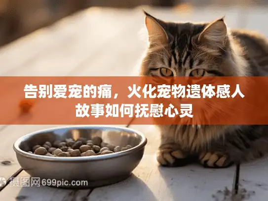 告别爱宠的痛，火化宠物遗体感人故事如何抚慰心灵