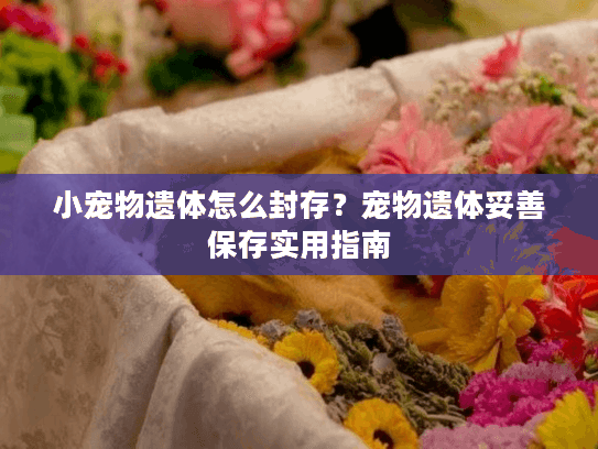 小宠物遗体怎么封存？宠物遗体妥善保存实用指南