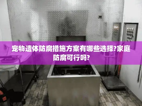 宠物遗体防腐措施方案有哪些选择?家庭防腐可行吗?