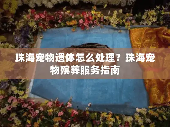 珠海宠物遗体怎么处理？珠海宠物殡葬服务指南