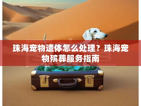 珠海宠物遗体怎么处理？珠海宠物殡葬服务指南