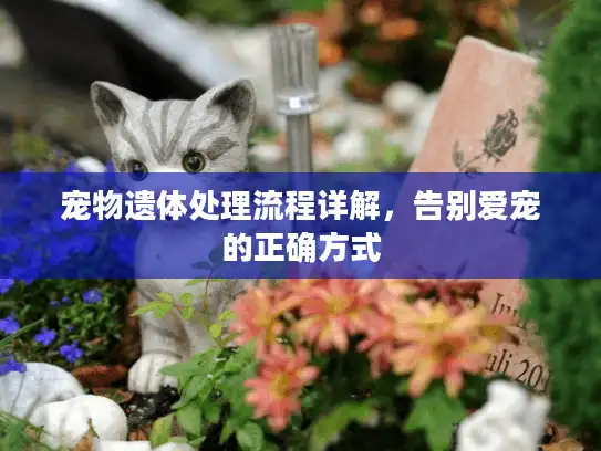 宠物遗体处理流程详解，告别爱宠的正确方式