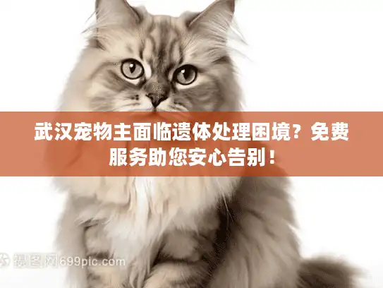 武汉宠物主面临遗体处理困境？免费服务助您安心告别！