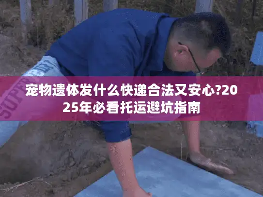 宠物遗体发什么快递合法又安心?2025年必看托运避坑指南