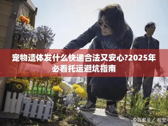 宠物遗体发什么快递合法又安心?2025年必看托运避坑指南