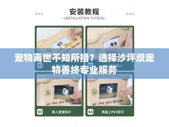宠物离世不知所措？选择沙坪坝宠物善终专业服务
