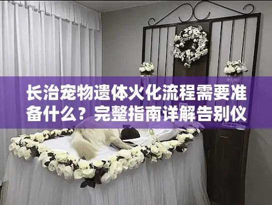 长治宠物遗体火化流程需要准备什么？完整指南详解告别仪式
