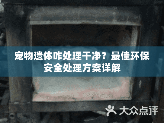 宠物遗体咋处理干净？最佳环保安全处理方案详解