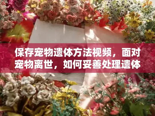 保存宠物遗体方法视频，面对宠物离世，如何妥善处理遗体？