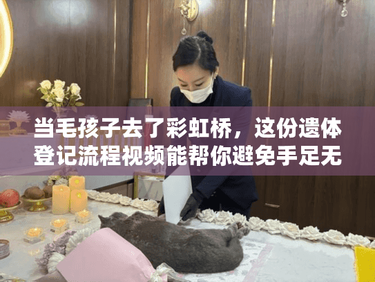 当毛孩子去了彩虹桥，这份遗体登记流程视频能帮你避免手足无措