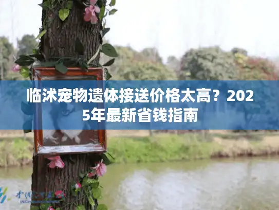 临沭宠物遗体接送价格太高？2025年最新省钱指南