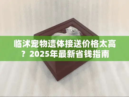 临沭宠物遗体接送价格太高？2025年最新省钱指南
