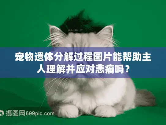 宠物遗体分解过程图片能帮助主人理解并应对悲痛吗？