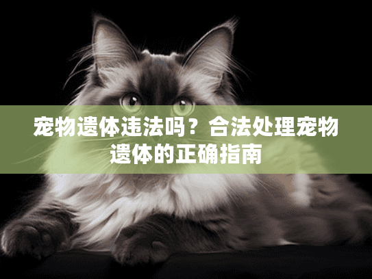宠物遗体违法吗？合法处理宠物遗体的正确指南