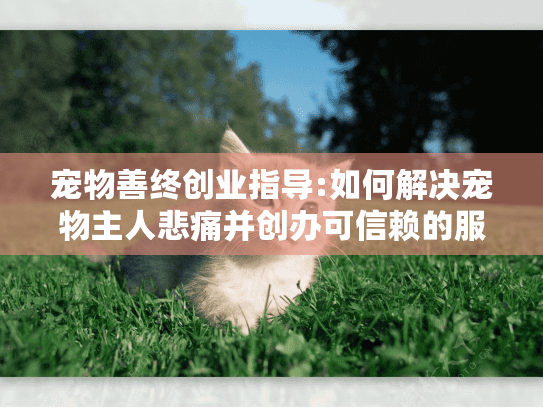 宠物善终创业指导:如何解决宠物主人悲痛并创办可信赖的服务?