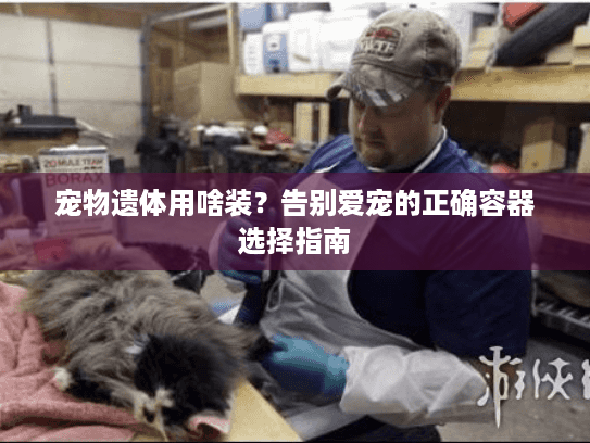 宠物遗体用啥装？告别爱宠的正确容器选择指南